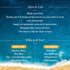 Aqualogica All In One Essentials Kit